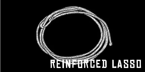 Reinforced Lasso
