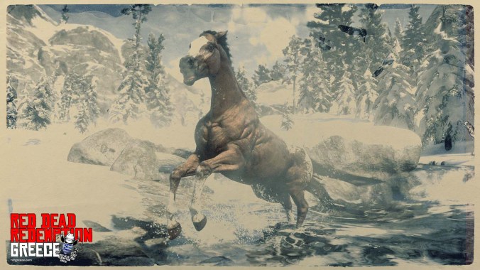 Appaloosa